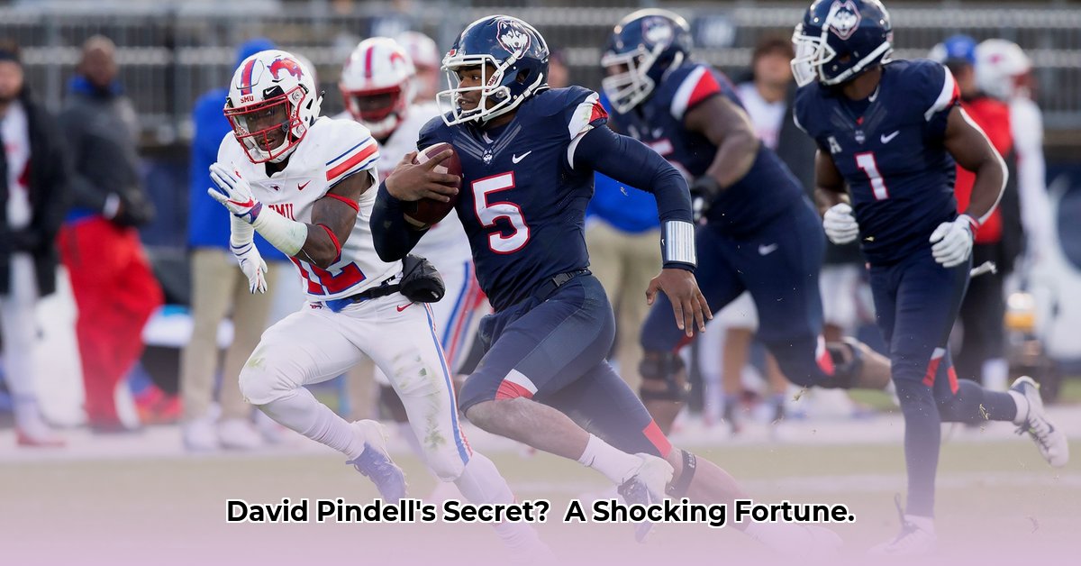 david-pindell-net-worth